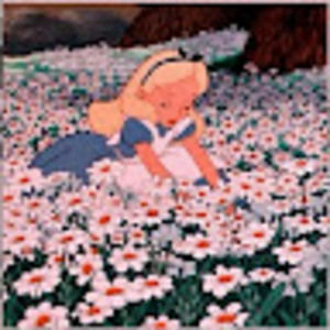 Meet your Posher, Alice